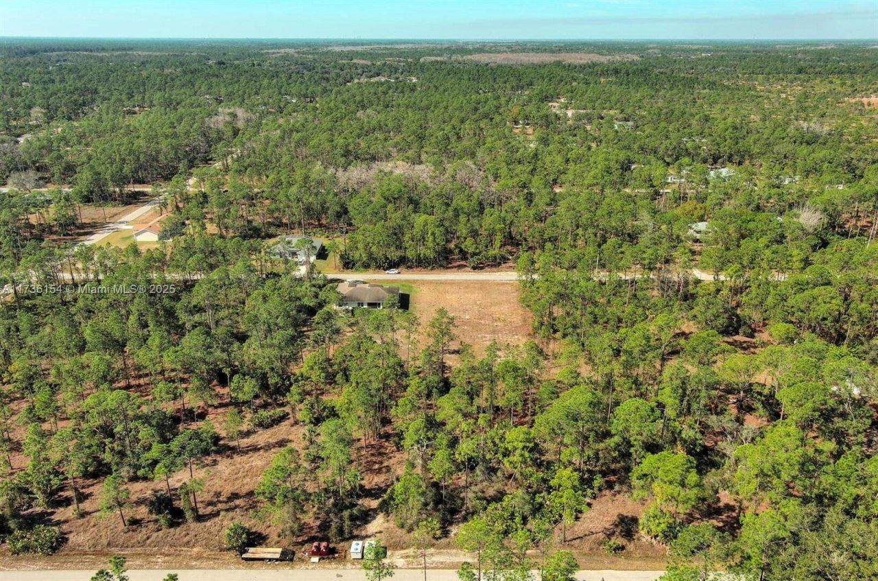 2309 Grant Ave, Lehigh Acres, FL 33920 Photo