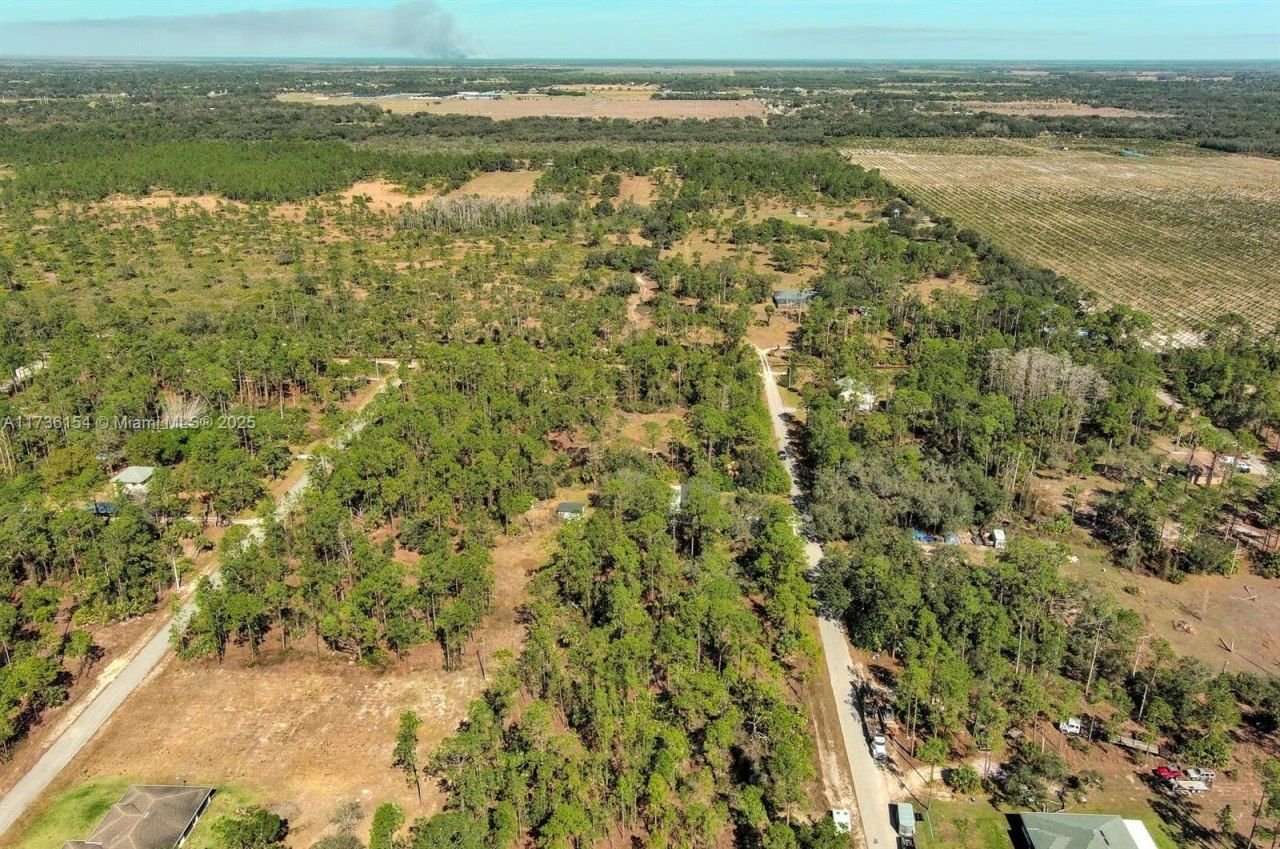 2309 Grant Ave, Lehigh Acres, FL 33920 Photo