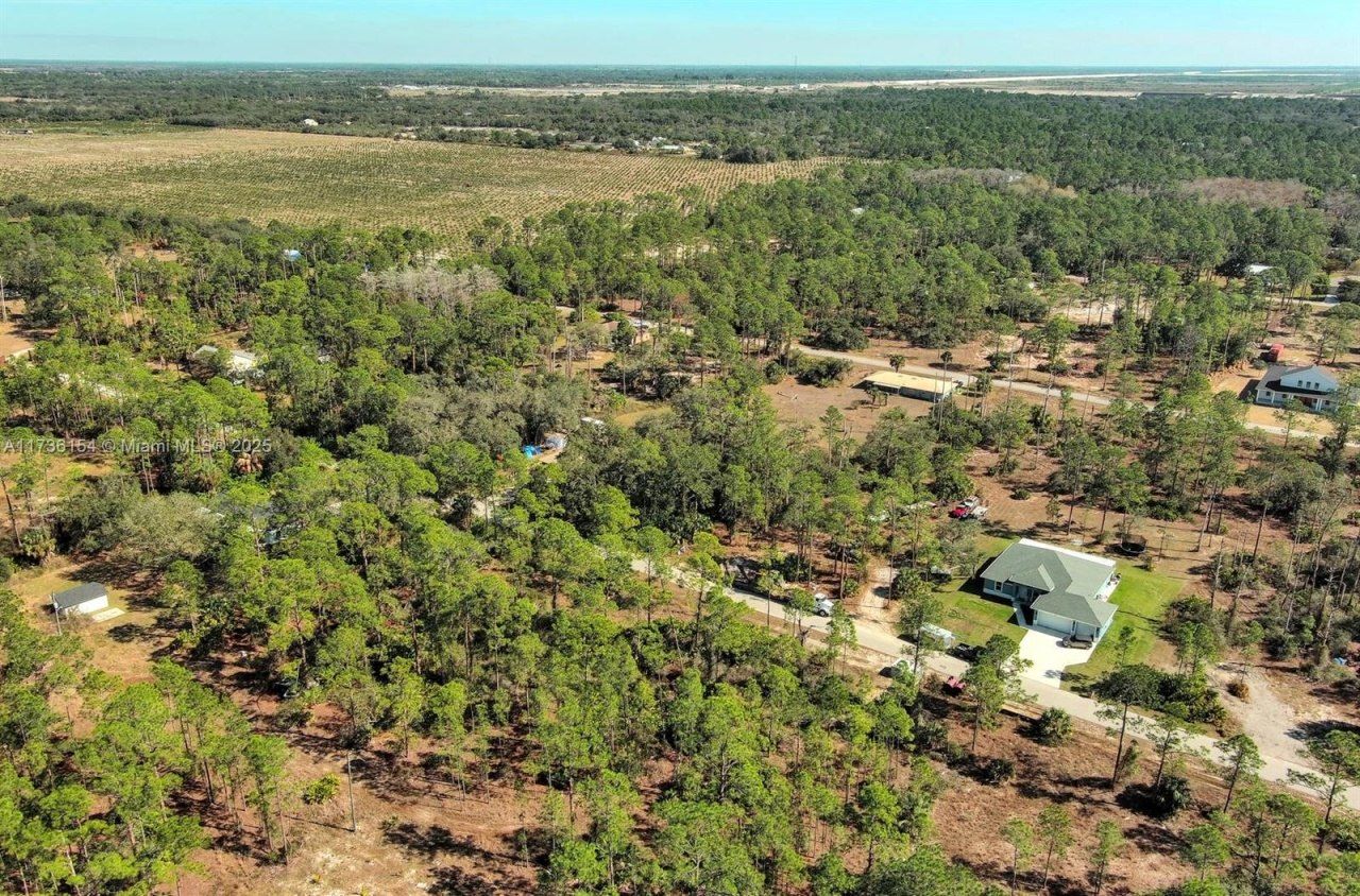 2309 Grant Ave, Lehigh Acres, FL 33920 Photo