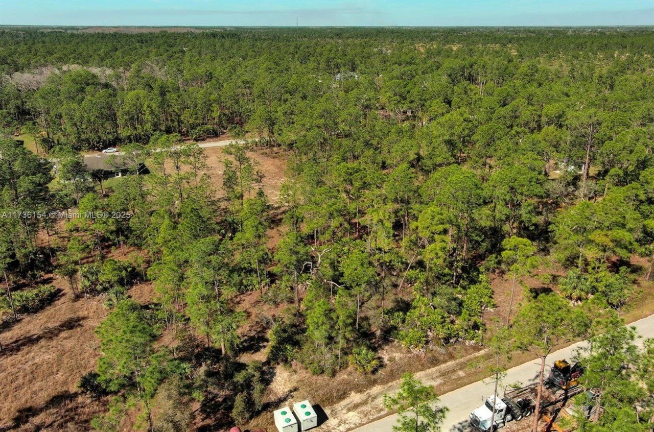 2309 Grant Ave, Lehigh Acres, FL 33920 Photo