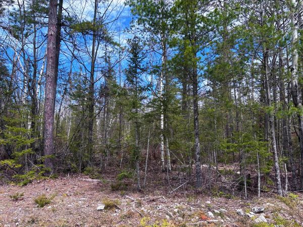 Lot 241 Kauffman Road, Presque Isle, MI 49777