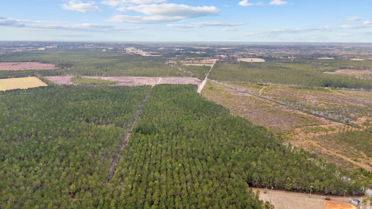 Tbd Joyner Swamp Rd. Photo 10