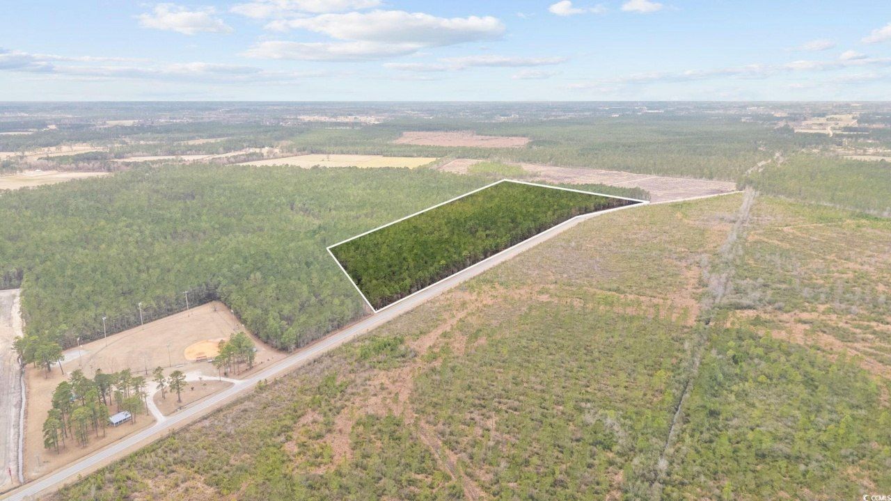 Tbd Joyner Swamp Rd. Photo 21