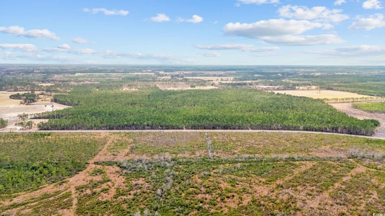 Tbd Joyner Swamp Rd. Photo 11