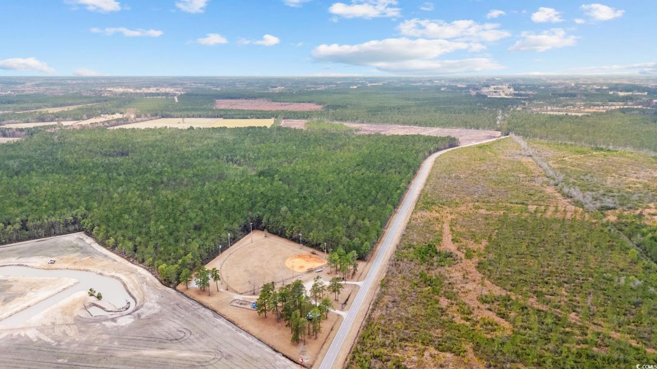 Tbd Joyner Swamp Rd. Photo 13
