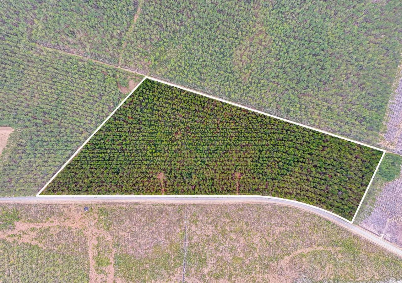 Tbd Joyner Swamp Rd. Photo 18
