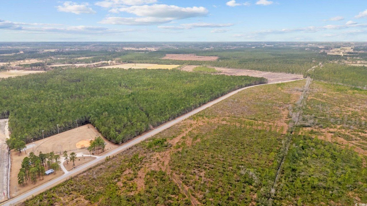Tbd Joyner Swamp Rd. Photo 19