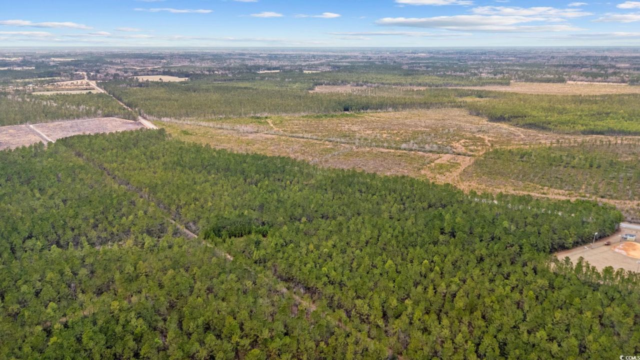 Tbd Joyner Swamp Rd. Photo 8