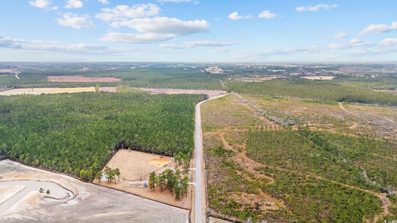 Tbd Joyner Swamp Rd. Photo 15