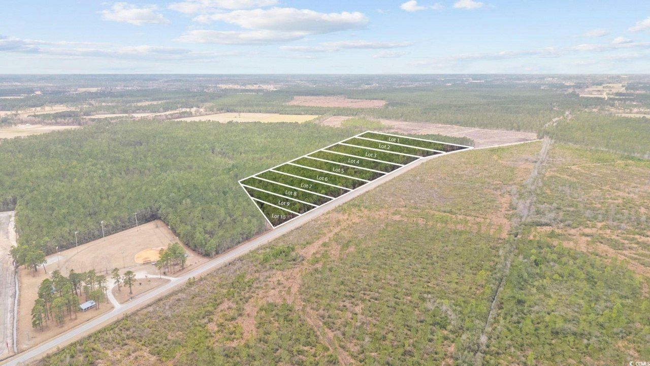 Tbd Joyner Swamp Rd. Photo 20
