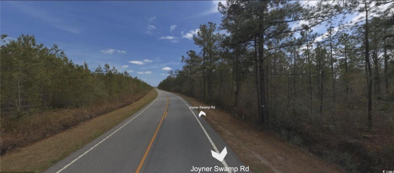 Tbd Joyner Swamp Rd. Photo 4