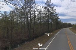 Tbd Joyner Swamp Rd. photo 4