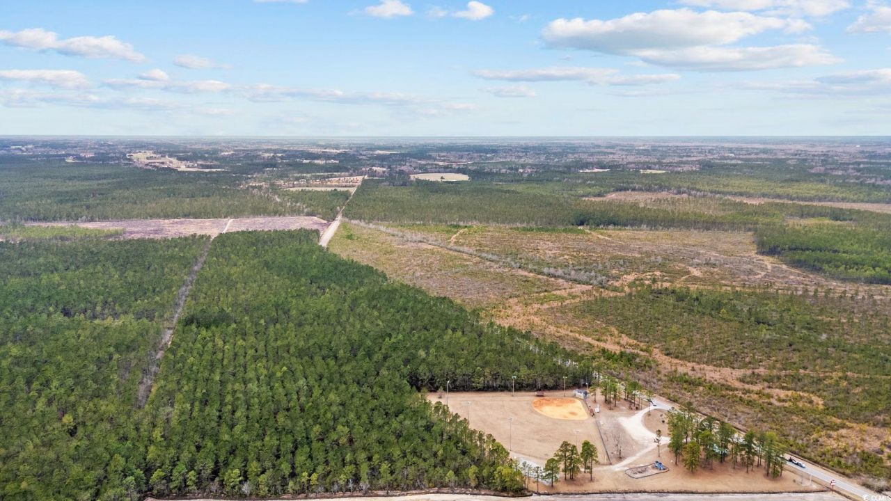 Tbd Joyner Swamp Rd. Photo 16