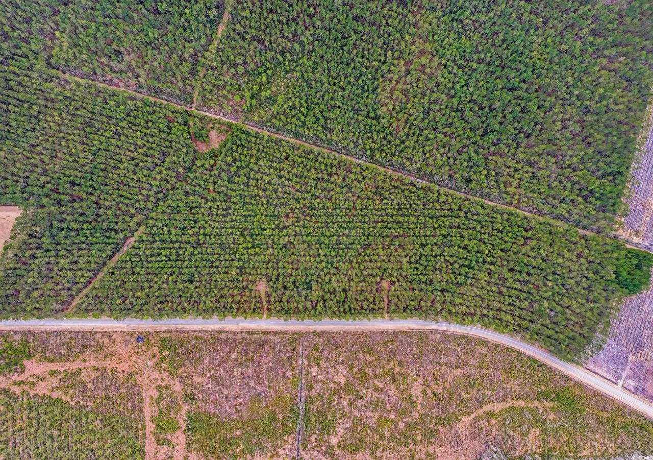 Tbd Joyner Swamp Rd. Photo 17
