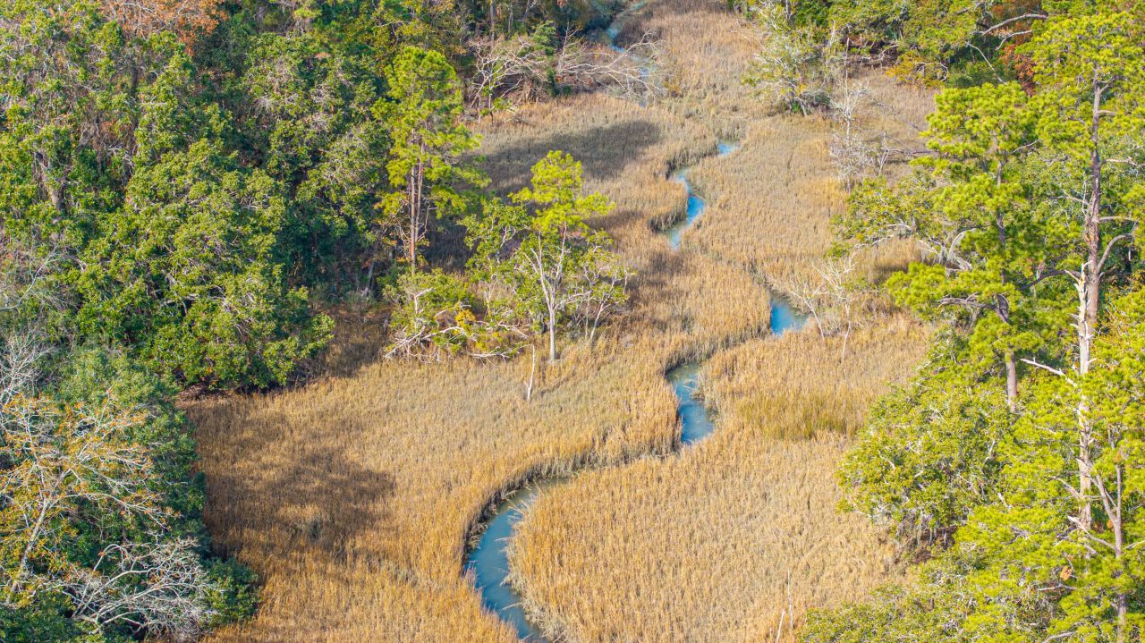 4230 Barnwell Avenue Photo 9