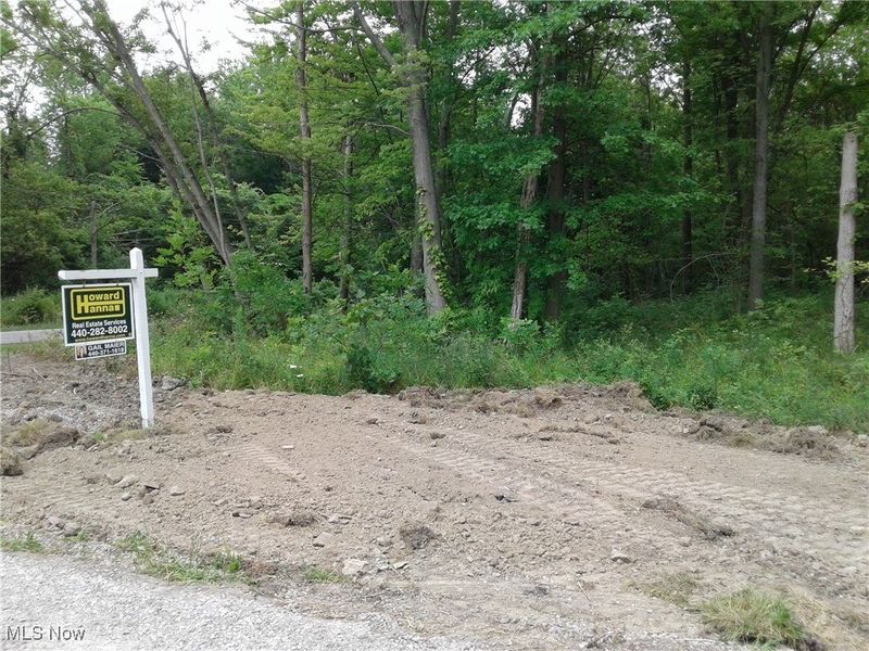 Woodruff Drive, Sheffield Lake, OH 44054 Photo 14