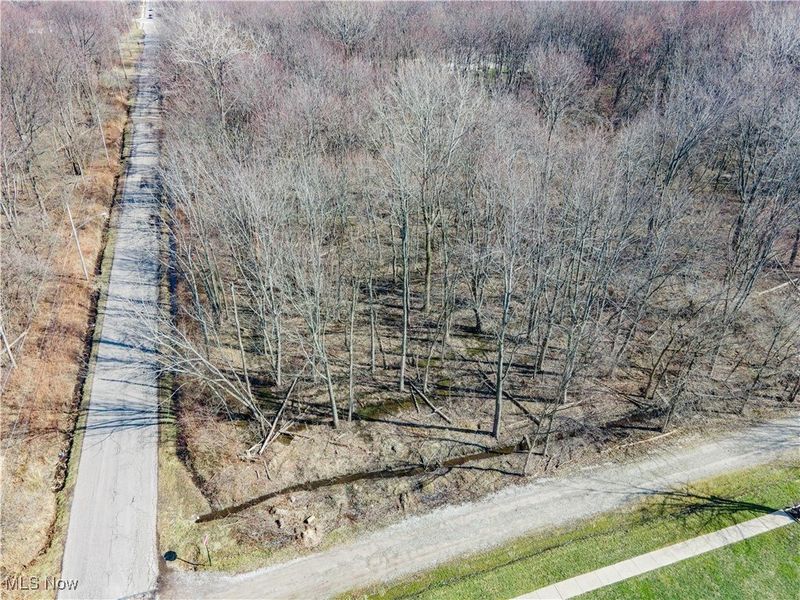 Woodruff Drive, Sheffield Lake, OH 44054 Photo 6