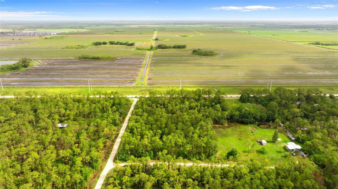 801 Yeehaw Avenue, Clewiston, FL 33440 Photo