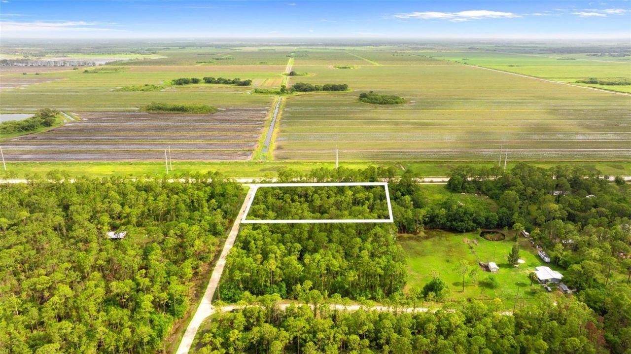 801 Yeehaw Avenue, Clewiston, FL 33440 Photo