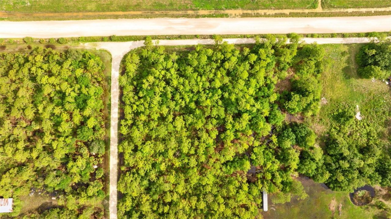 801 Yeehaw Avenue, Clewiston, FL 33440 Photo