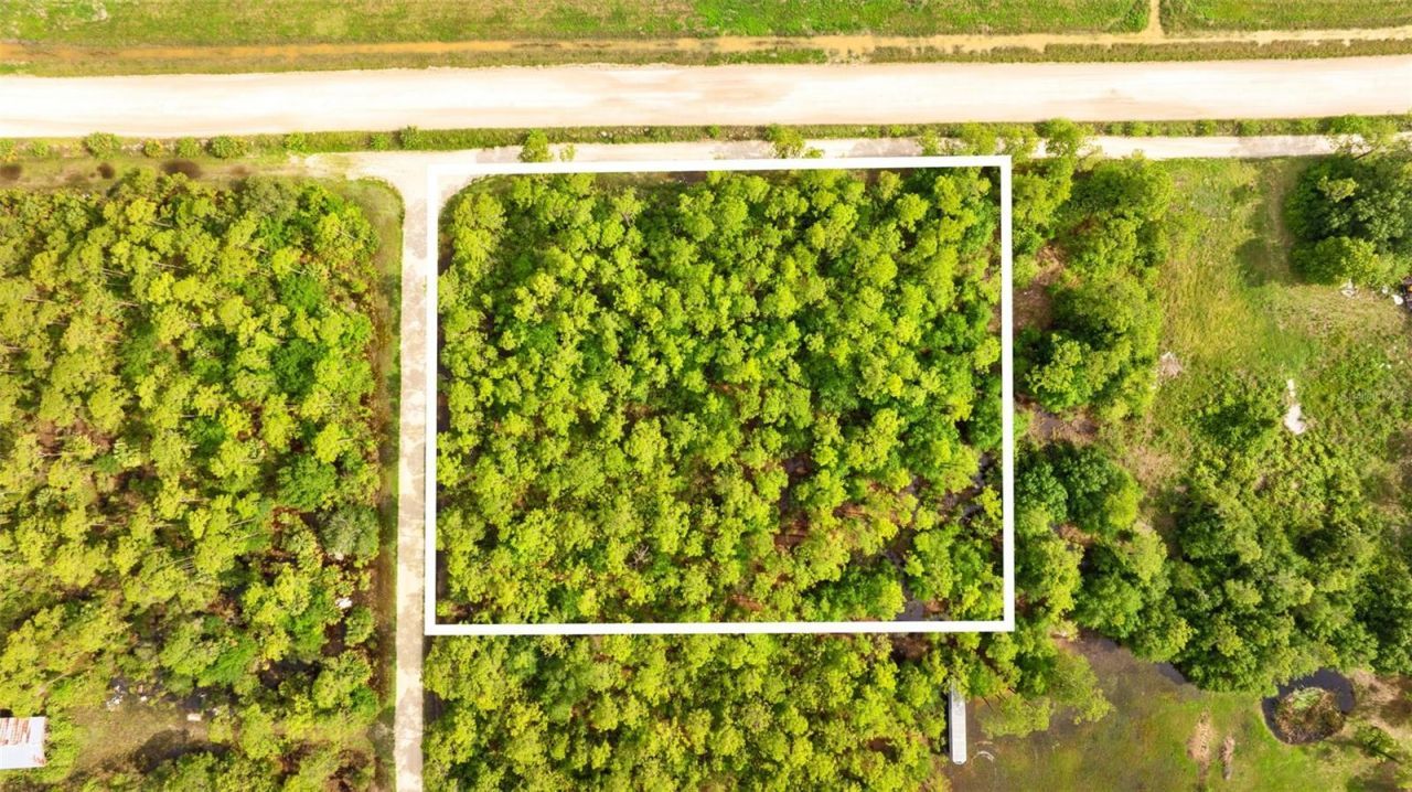 801 Yeehaw Avenue, Clewiston, FL 33440 Photo