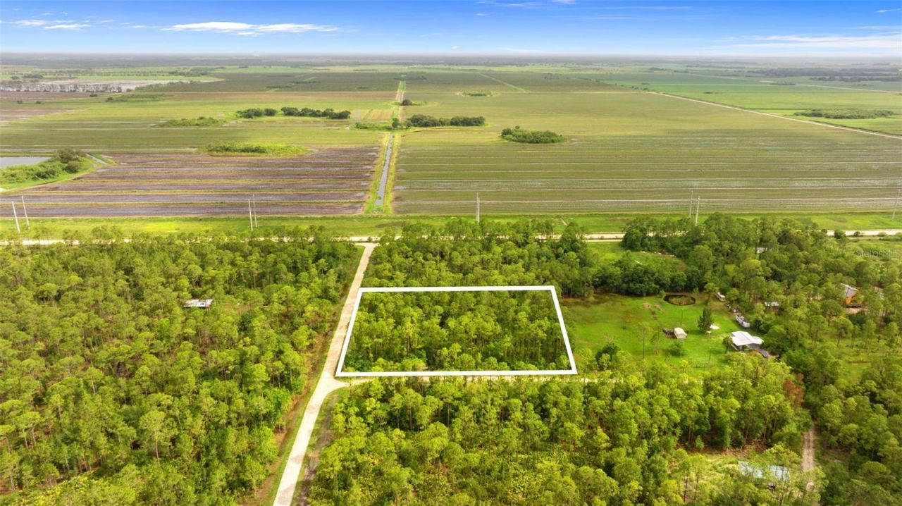 801 Yeehaw Avenue, Clewiston, FL 33440 Photo