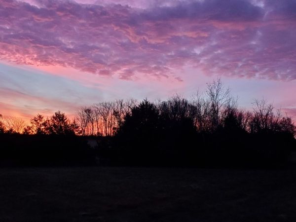 4775 S 50th Road, Aldrich, MO 65601