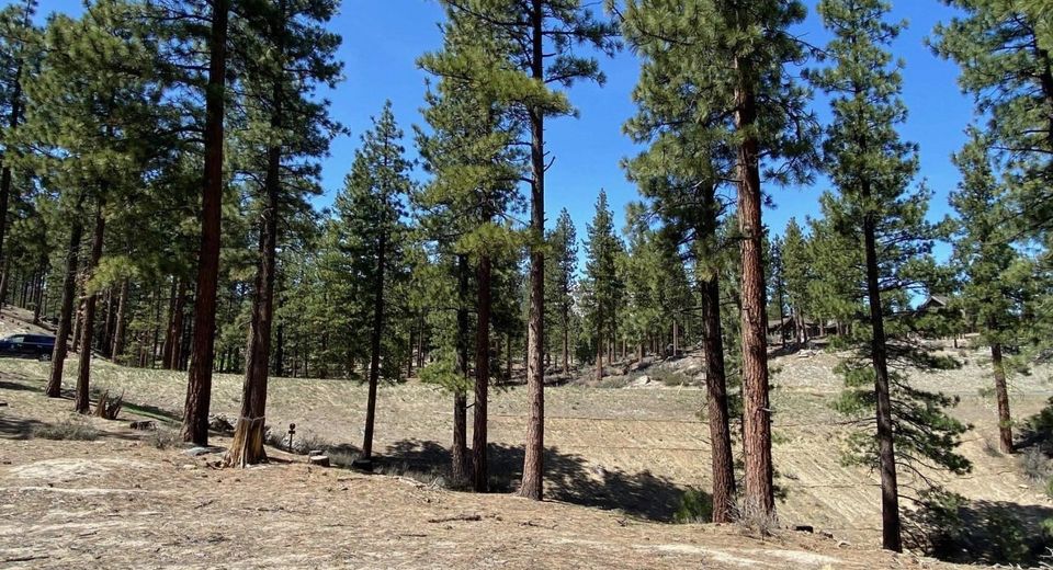 3503 Golf Club Drive, Carson City, NV 89705 Photo