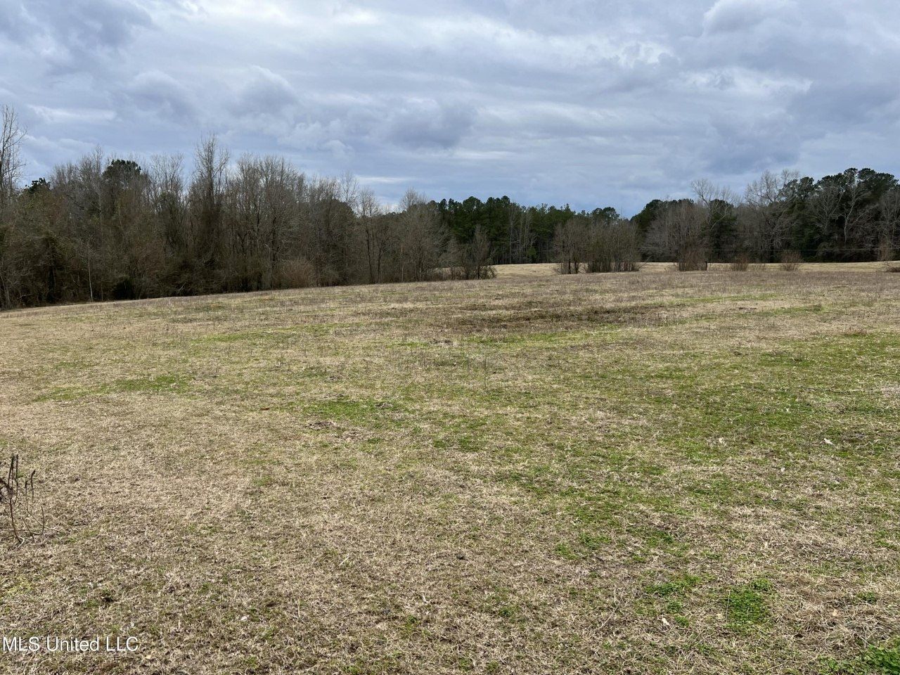 Armory Drive, Taylorsville, MS 39168 Main Photo