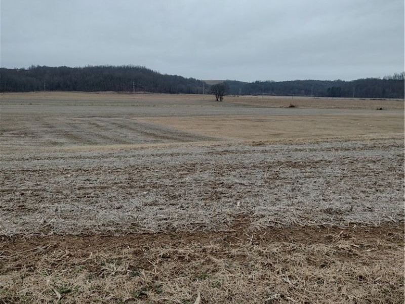 TR 257, West Lafayette, OH 43845 Photo 2
