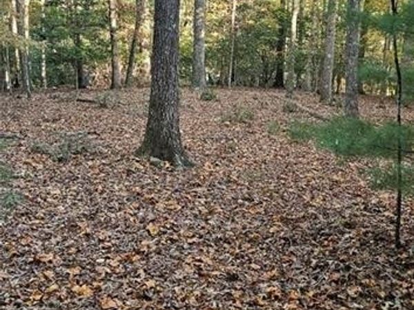 5 Gold Mine Road, Morganton, GA 30560