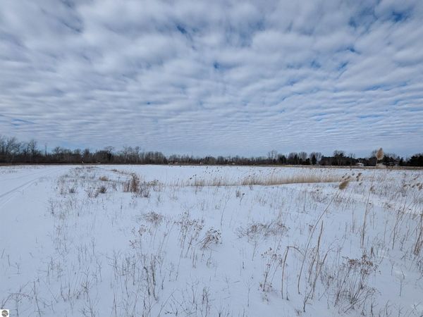 Swenson Road, Au Gres, MI 48703