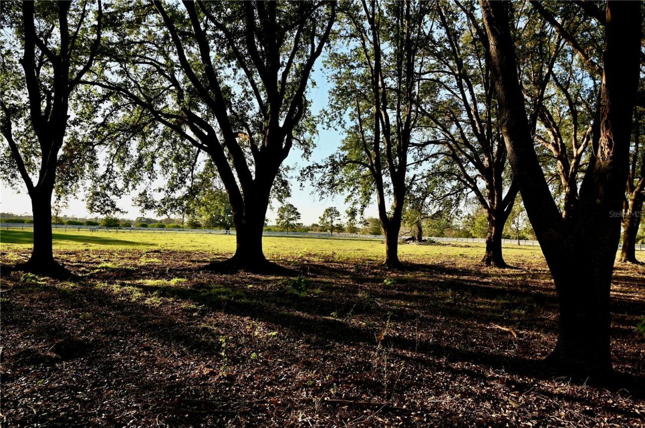 6255 Mercantile Lane, Fort Meade, FL 33841 Photo