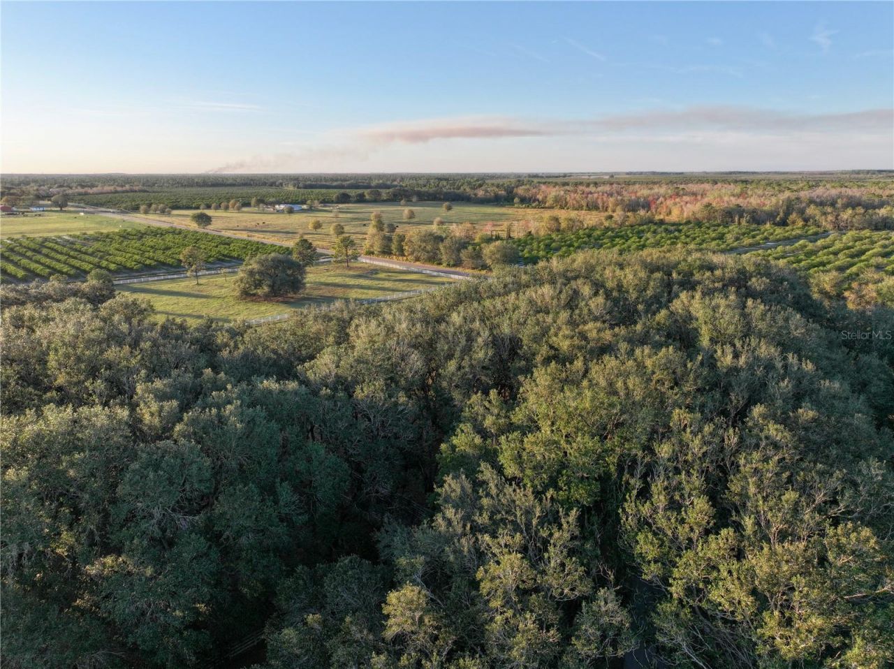 6255 Mercantile Lane, Fort Meade, FL 33841 Photo