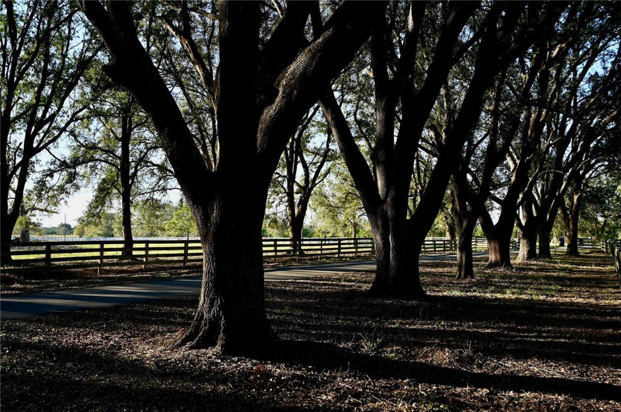 6255 Mercantile Lane, Fort Meade, FL 33841 Photo