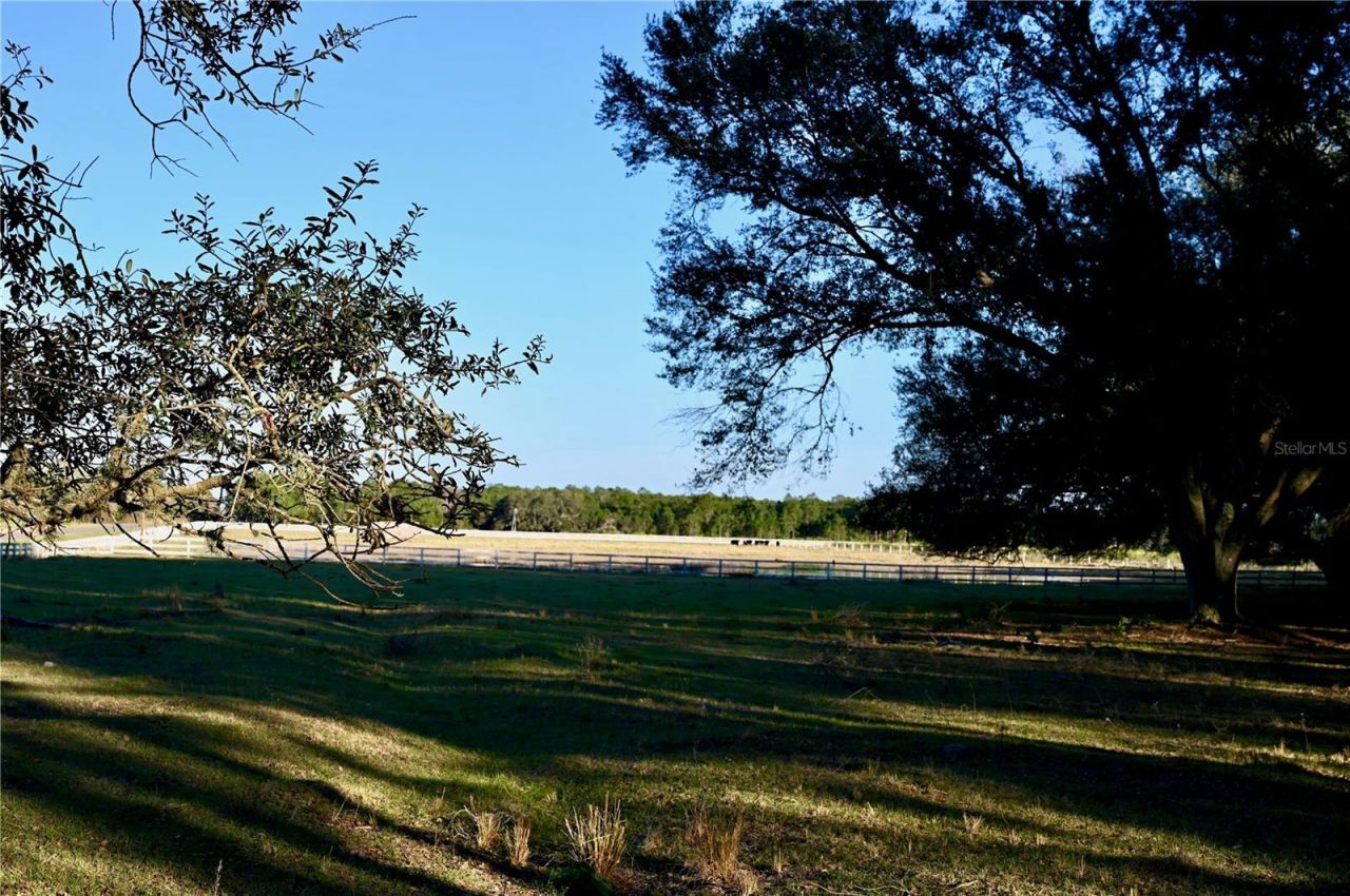 6255 Mercantile Lane, Fort Meade, FL 33841 Photo