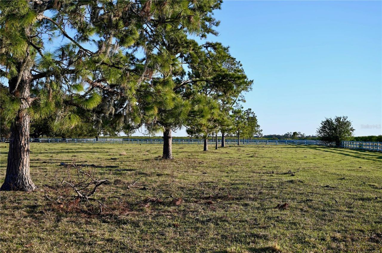 6255 Mercantile Lane, Fort Meade, FL 33841 Photo