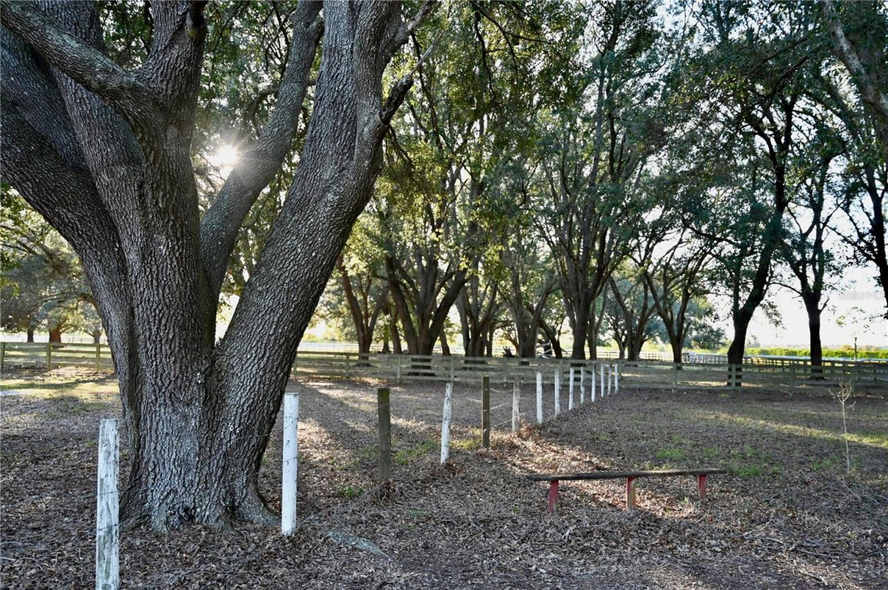 6255 Mercantile Lane, Fort Meade, FL 33841 Photo