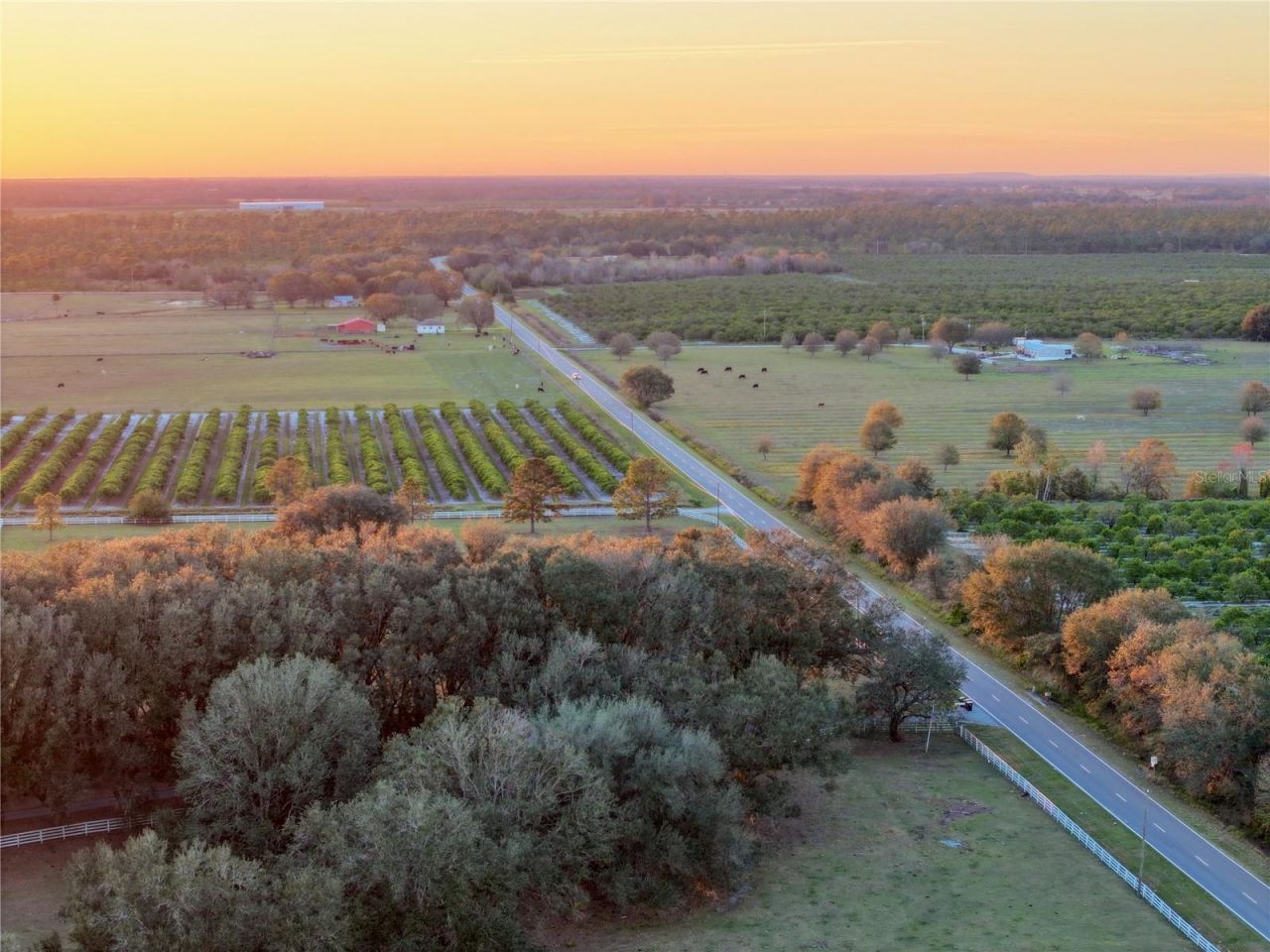 6255 Mercantile Lane, Fort Meade, FL 33841 Photo