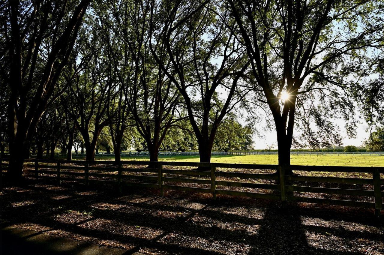 6255 Mercantile Lane, Fort Meade, FL 33841 Photo