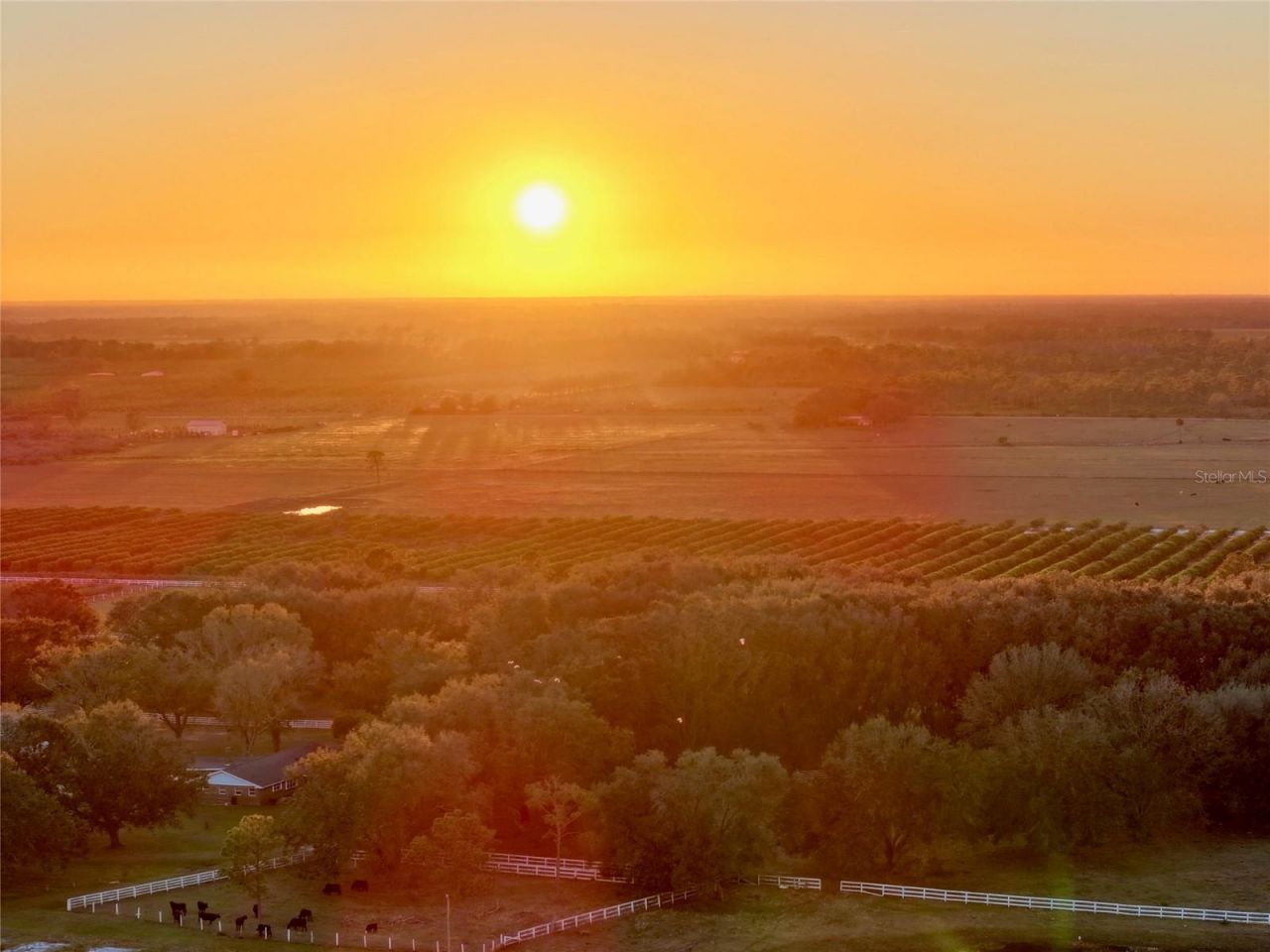 6255 Mercantile Lane, Fort Meade, FL 33841 Photo