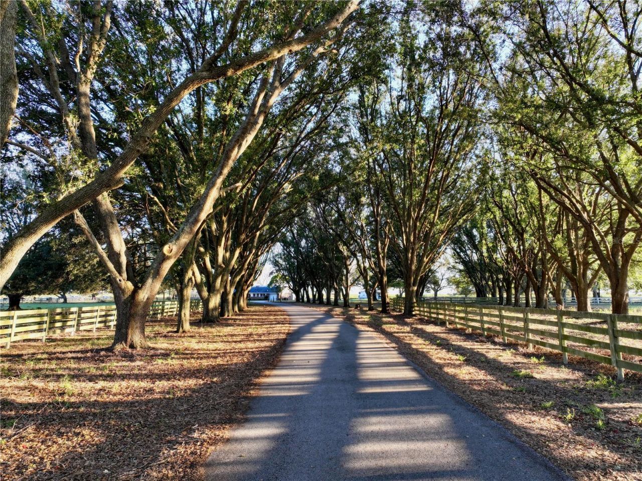 6255 Mercantile Lane, Fort Meade, FL 33841 Photo