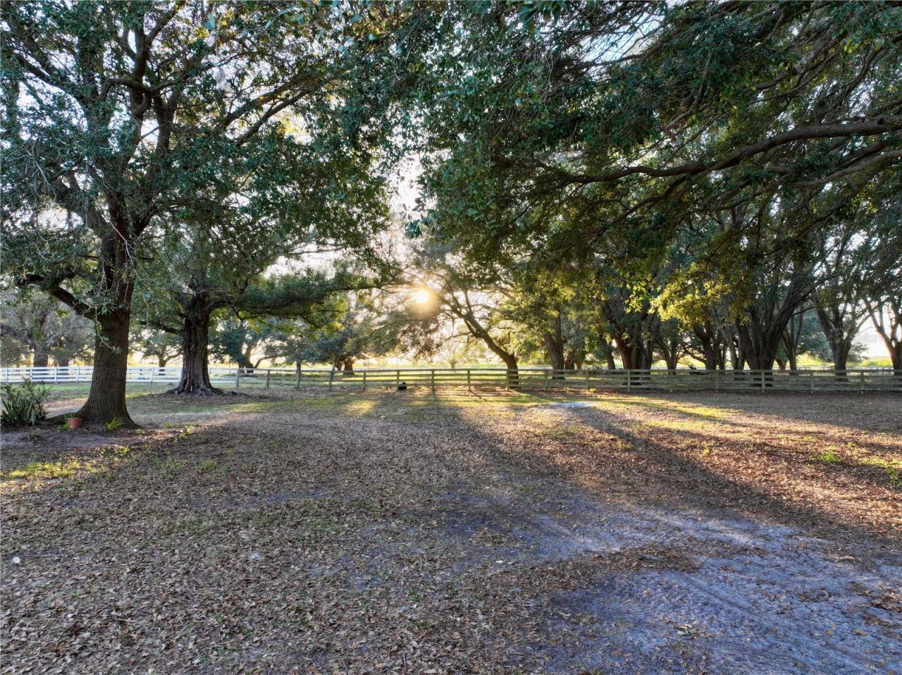 6255 Mercantile Lane, Fort Meade, FL 33841 Photo