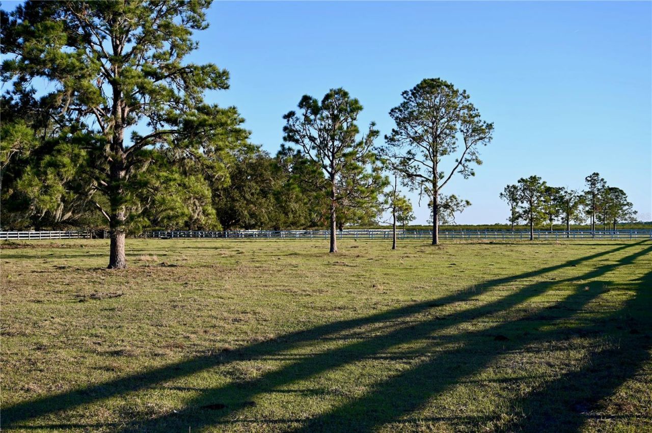 6255 Mercantile Lane, Fort Meade, FL 33841 Photo