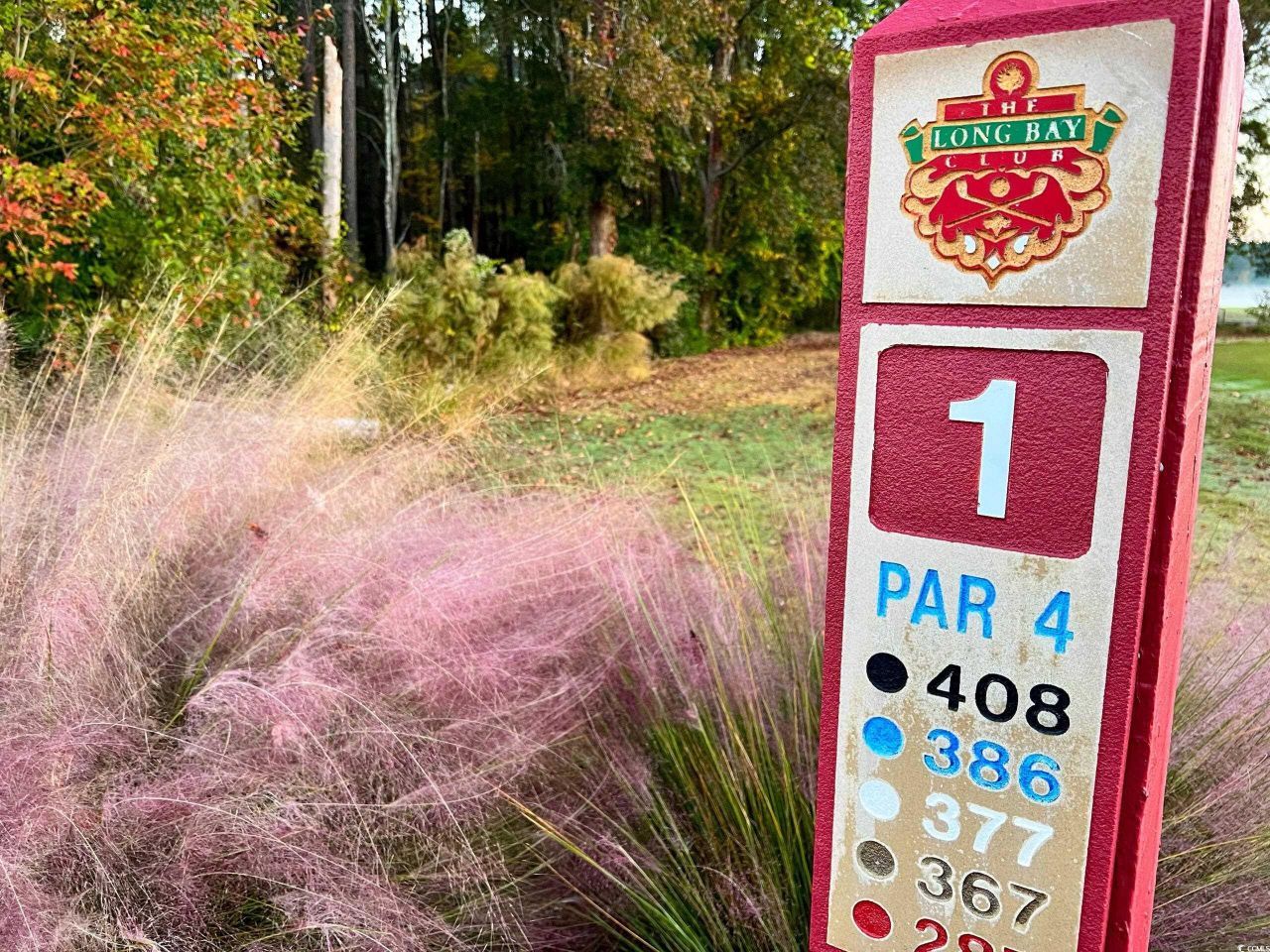 910 Foxtail Dr. Photo 31