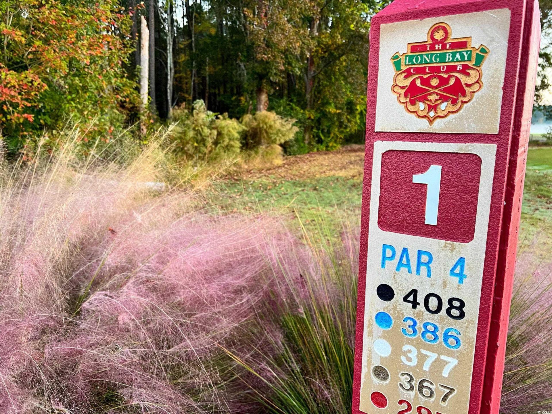 898 Foxtail Dr. Photo 49