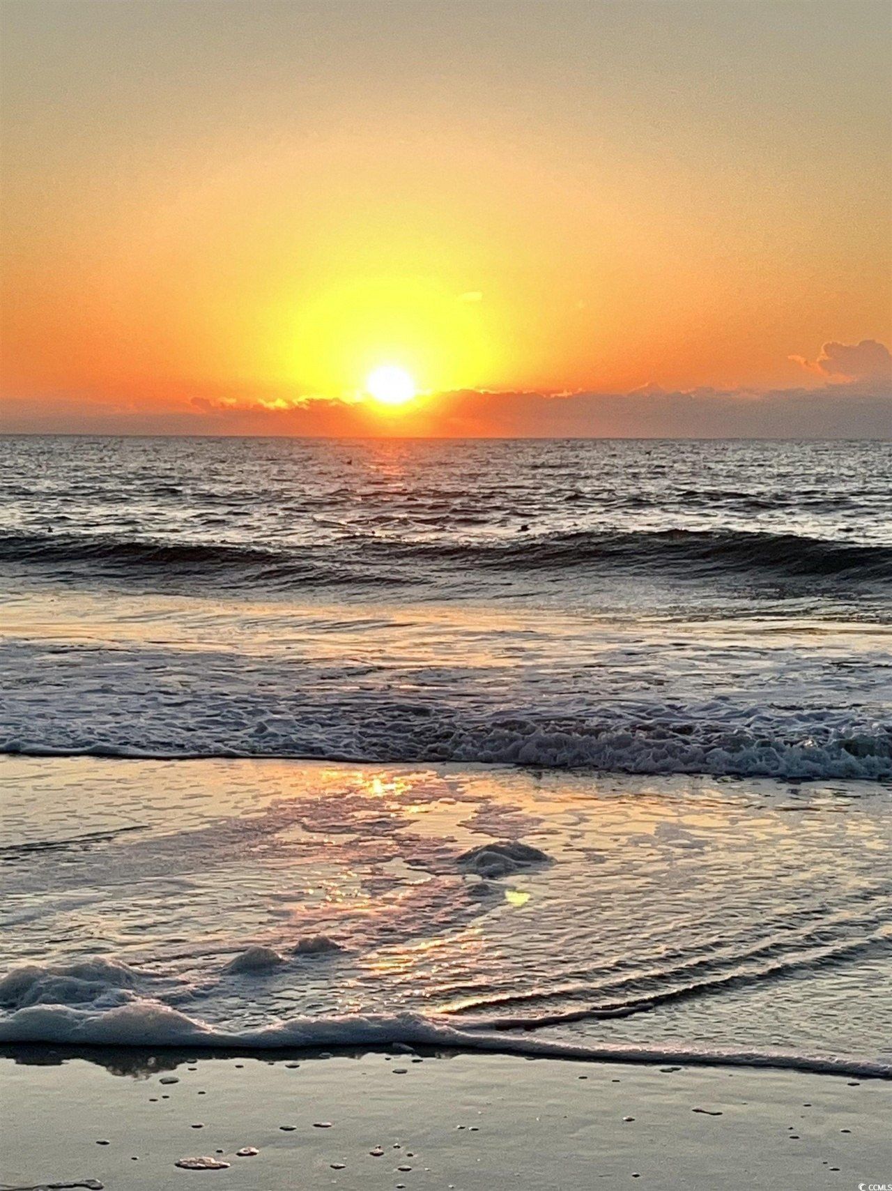 81 Delray Dr. Photo 24