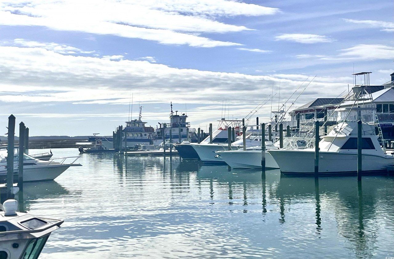 81 Delray Dr. Photo 29