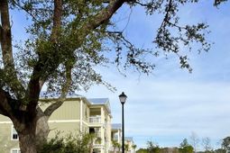 81 Delray Dr. photo 4