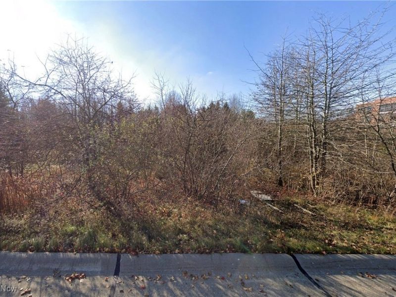 Kumho Drive, Fairlawn, OH 44333 Photo 10